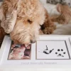 Best Friends Forever -kehys – Lapsi & Lemmikki