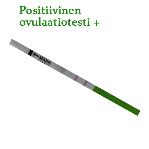 Ovulaatiotesti liuskat – Edullinen ja luotettava LH-ovulaatiotesti